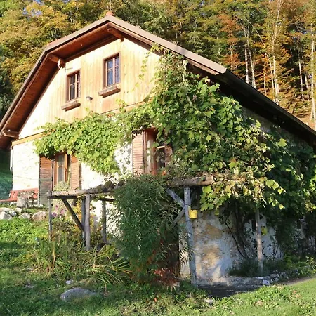 Plan B * Kamnik
